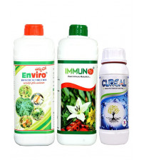 Combo for Tomato & Gourd Special EnViro + Immuno + Cureal (Extra Big)